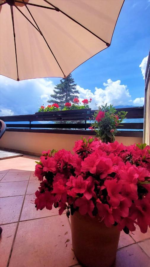 Nora S Home 4 - Panoramic Terrace & Bio Garden Мерано Екстер'єр фото